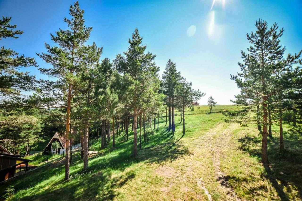 NG Apartmani Tornik Zlatibor Zewnętrze zdjęcie