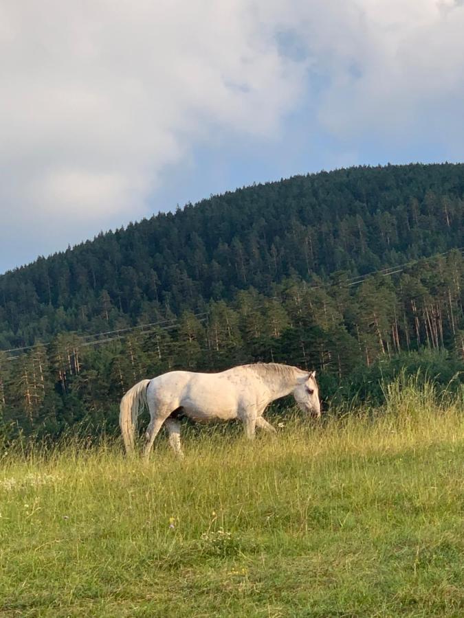 NG Apartmani Tornik Zlatibor Zewnętrze zdjęcie