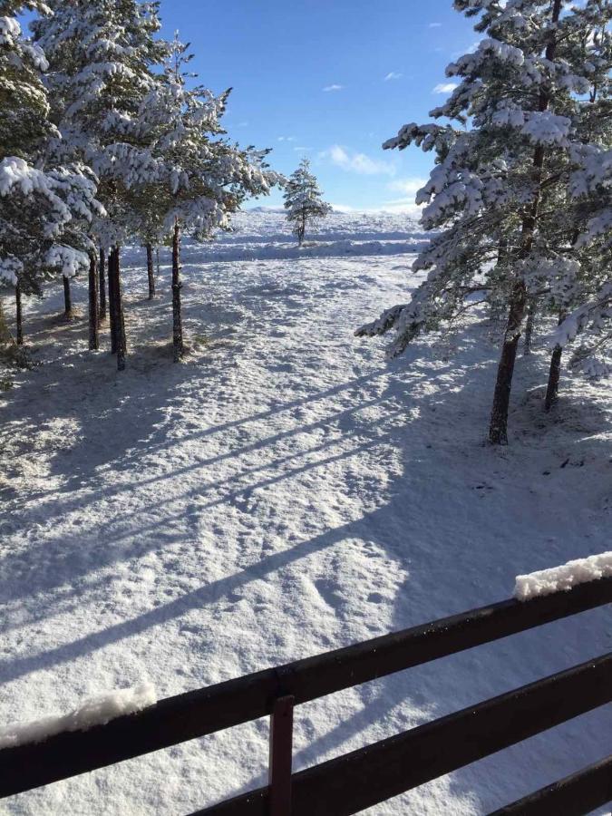 NG Apartmani Tornik Zlatibor Zewnętrze zdjęcie