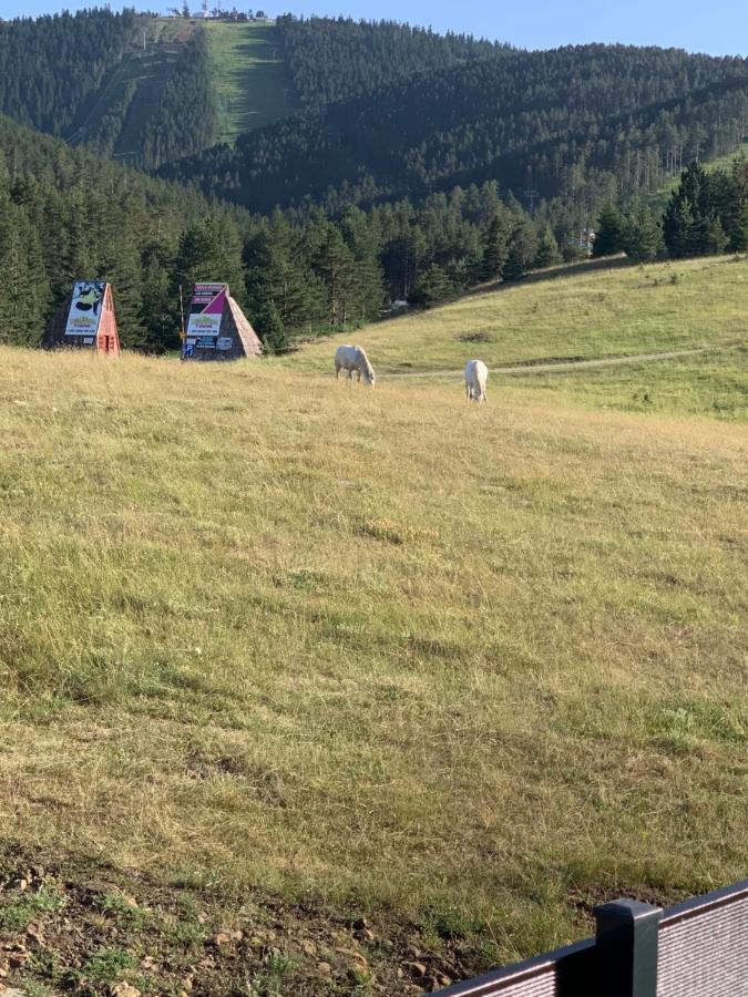 NG Apartmani Tornik Zlatibor Zewnętrze zdjęcie
