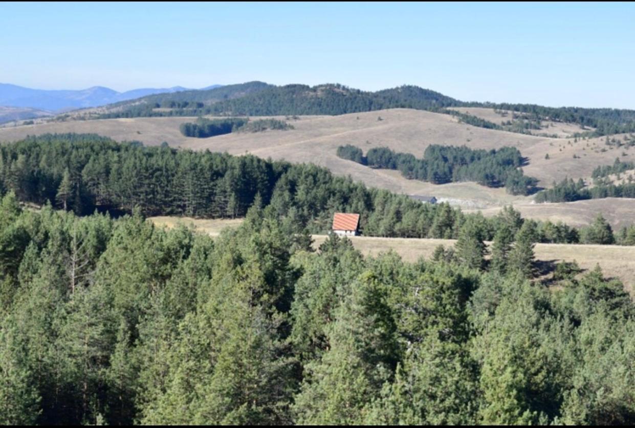NG Apartmani Tornik Zlatibor Zewnętrze zdjęcie